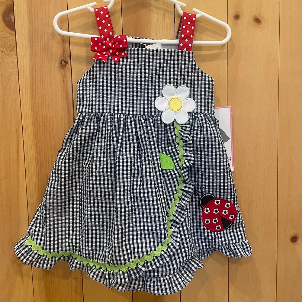 Rare Editions 2 piece Ladybug Dress Set